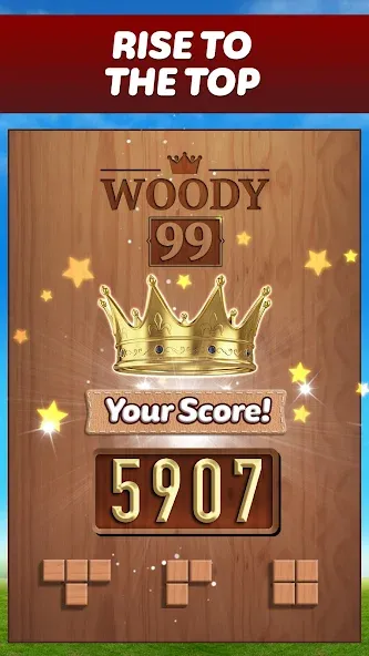 Взломанная Woody 99 — Sudoku Block Puzzle (Вуди 99)  [МОД Бесконечные монеты] — полная версия apk на Андроид screen 5