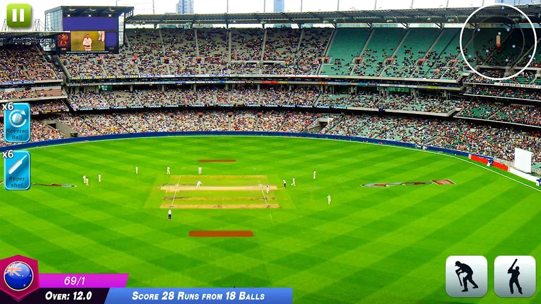 Взлом World Cricket Games Offline  [МОД Бесконечные монеты] — стабильная версия apk на Андроид screen 3