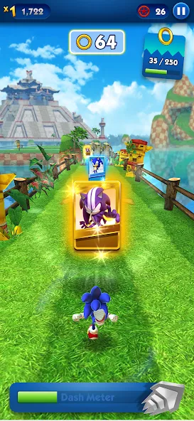 Взлом Sonic Dash — Endless Running (Соник Дэш)  [МОД Бесконечные монеты] — полная версия apk на Андроид screen 4